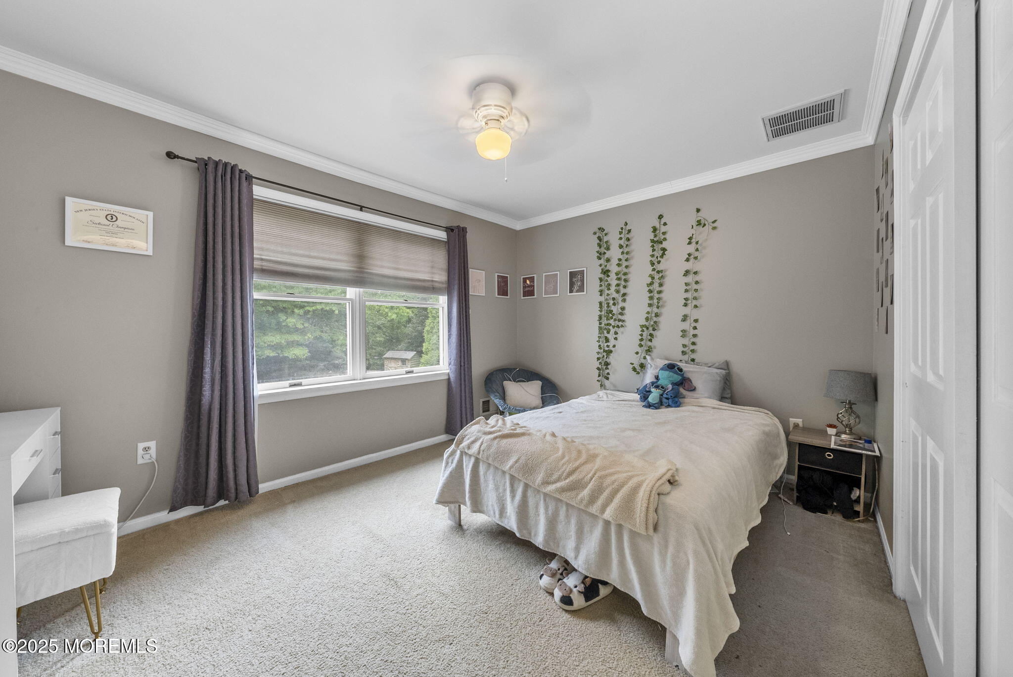 6 Overlook Drive, Jackson, NJ, 08527 image 19