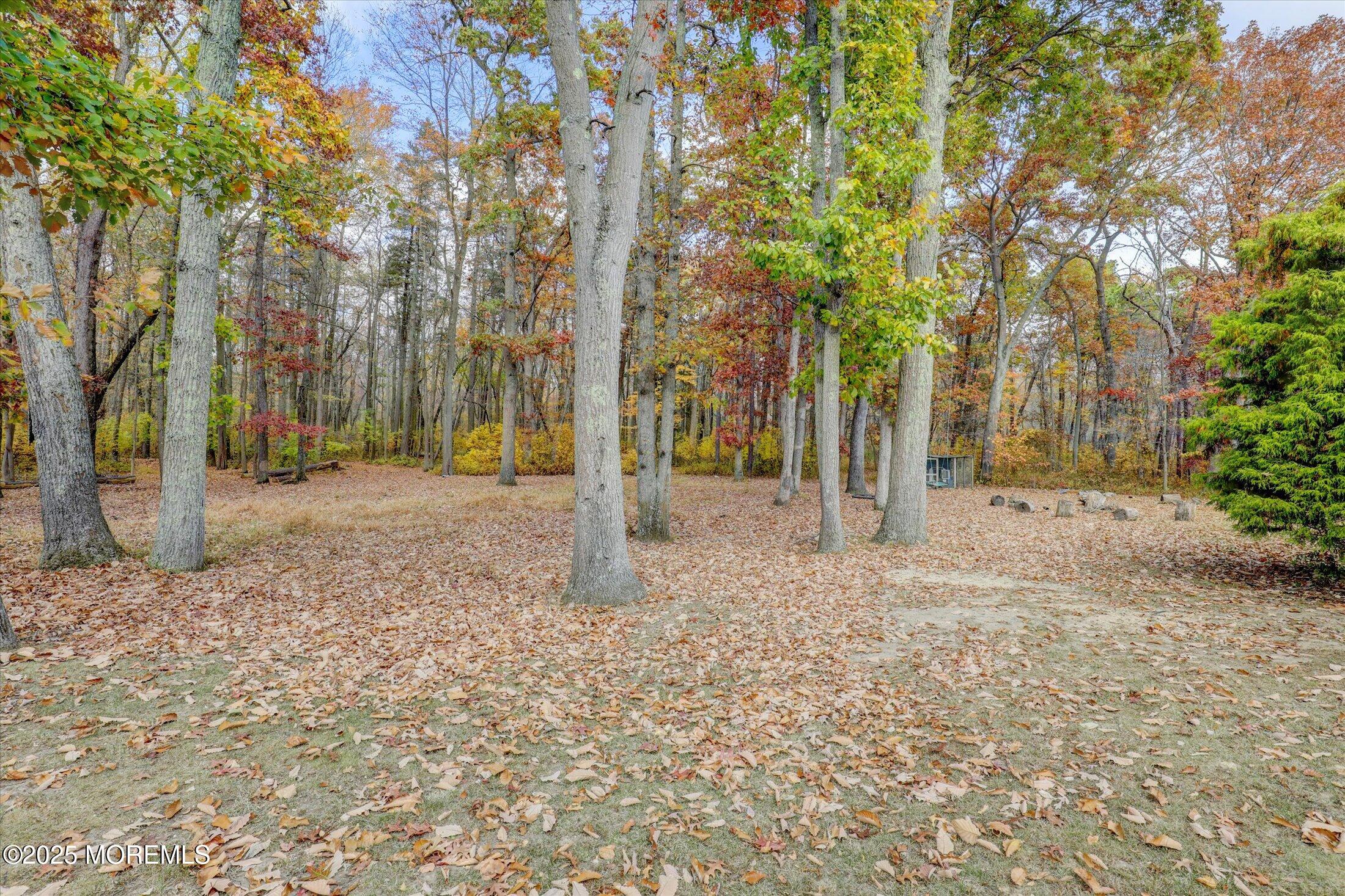 9 Rutherford Court, Jackson, NJ, 08527 image 44
