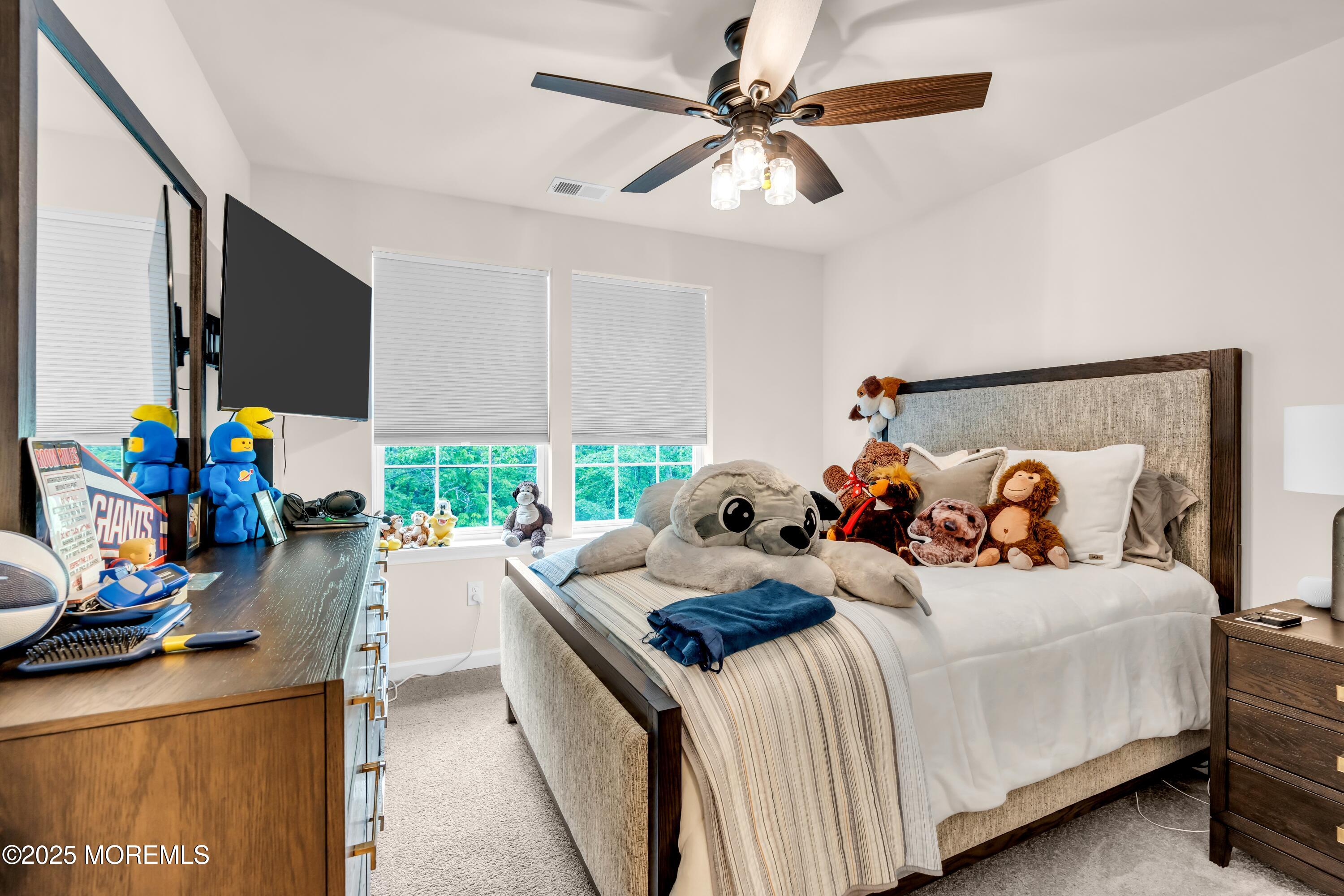 38 Mantoloking Drive, Jackson, NJ, 08527 image 20