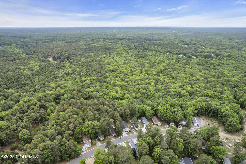 45 Goldenrod Place, Jackson, NJ, 08527 image 39