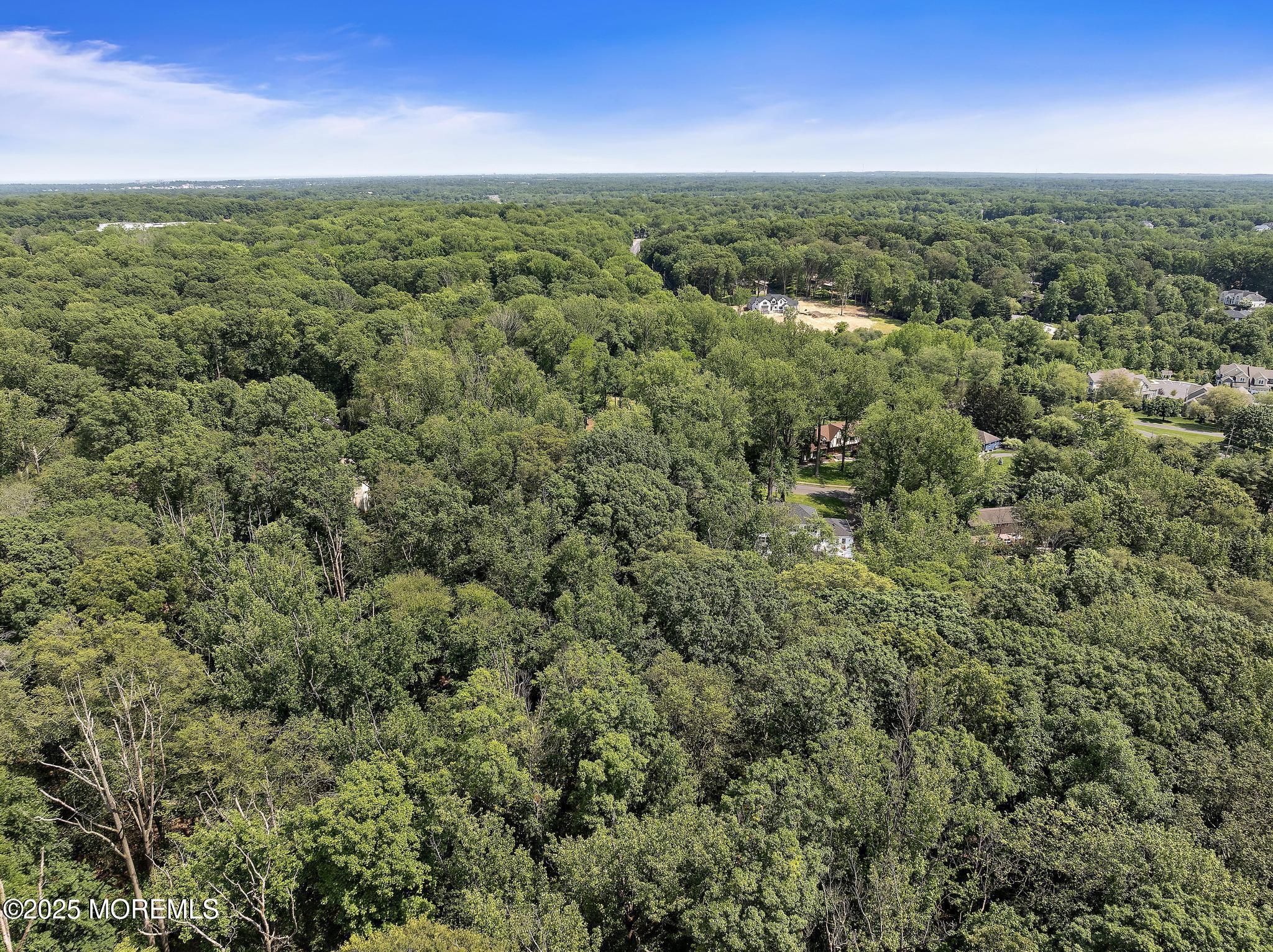 9 Seven Oaks Drive, Holmdel, NJ, 07733 image 43