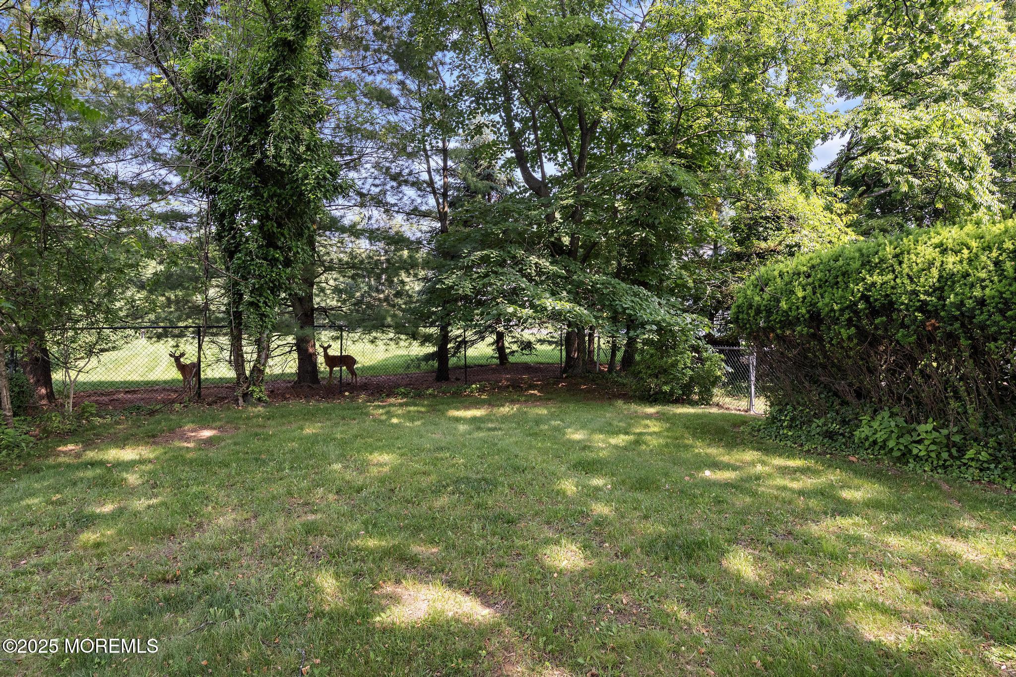 23 Fox Hill Drive, Little Silver, NJ, 07739 image 12