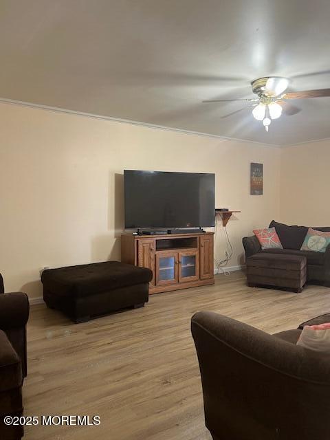 157 Meli Lane, Jackson, NJ, 08527 image 9