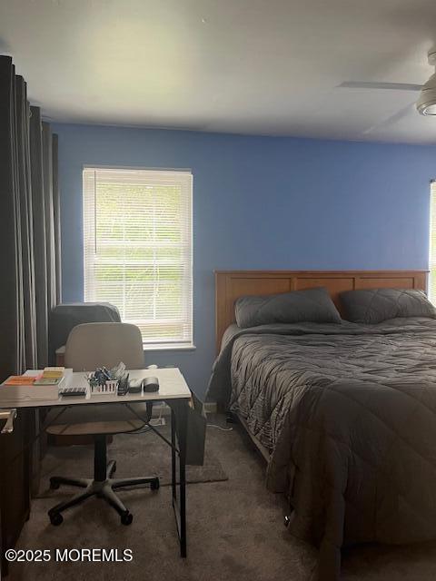 157 Meli Lane, Jackson, NJ, 08527 image 24