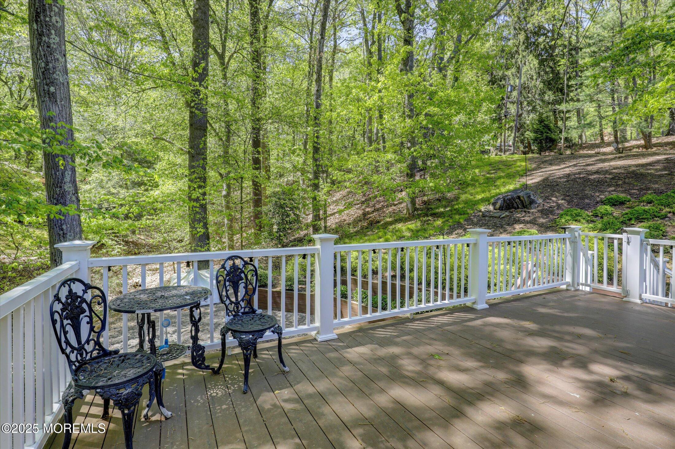 23 Mount Drive, Holmdel, NJ, 07733 image 40