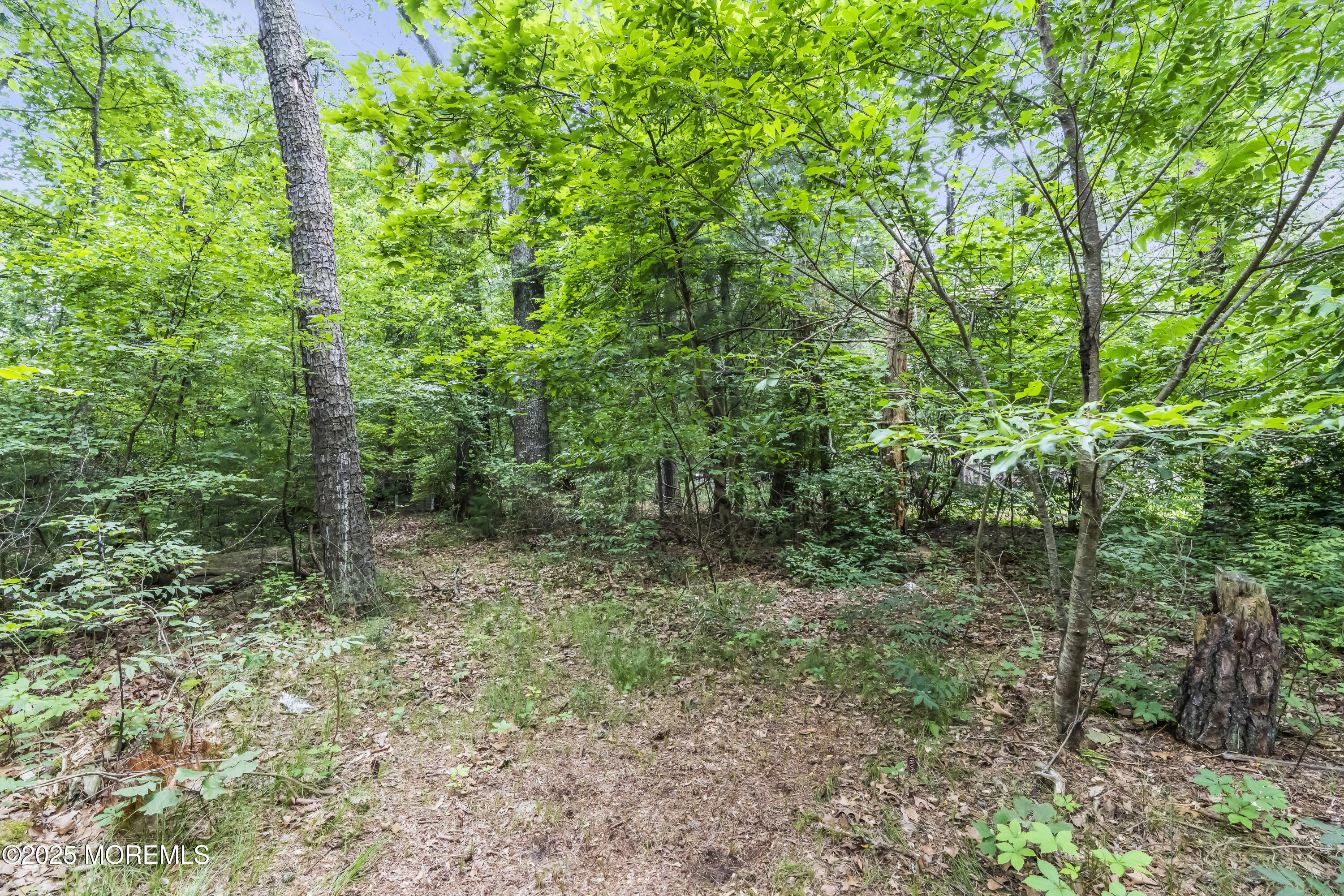 747 W Veterans Highway, Jackson, NJ, 08527 image 9