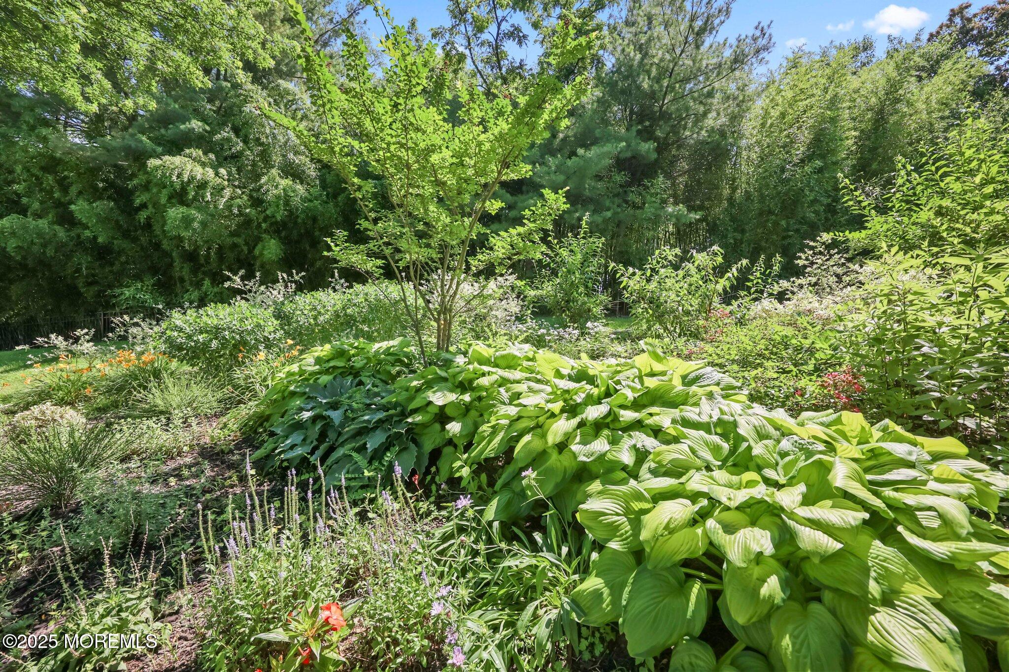 41 Van Brackle Road, Holmdel, NJ, 07733 image 32