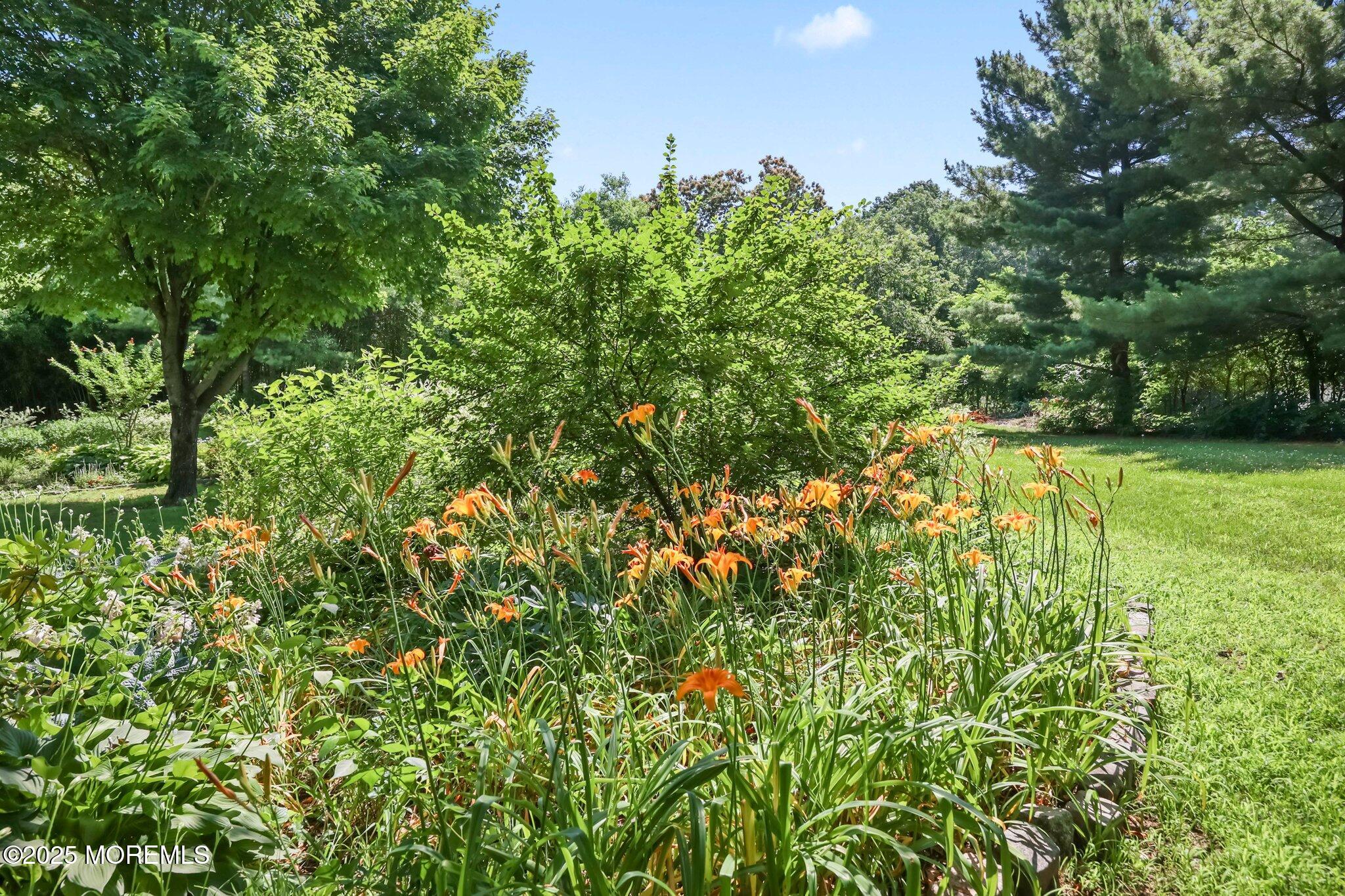 41 Van Brackle Road, Holmdel, NJ, 07733 image 37
