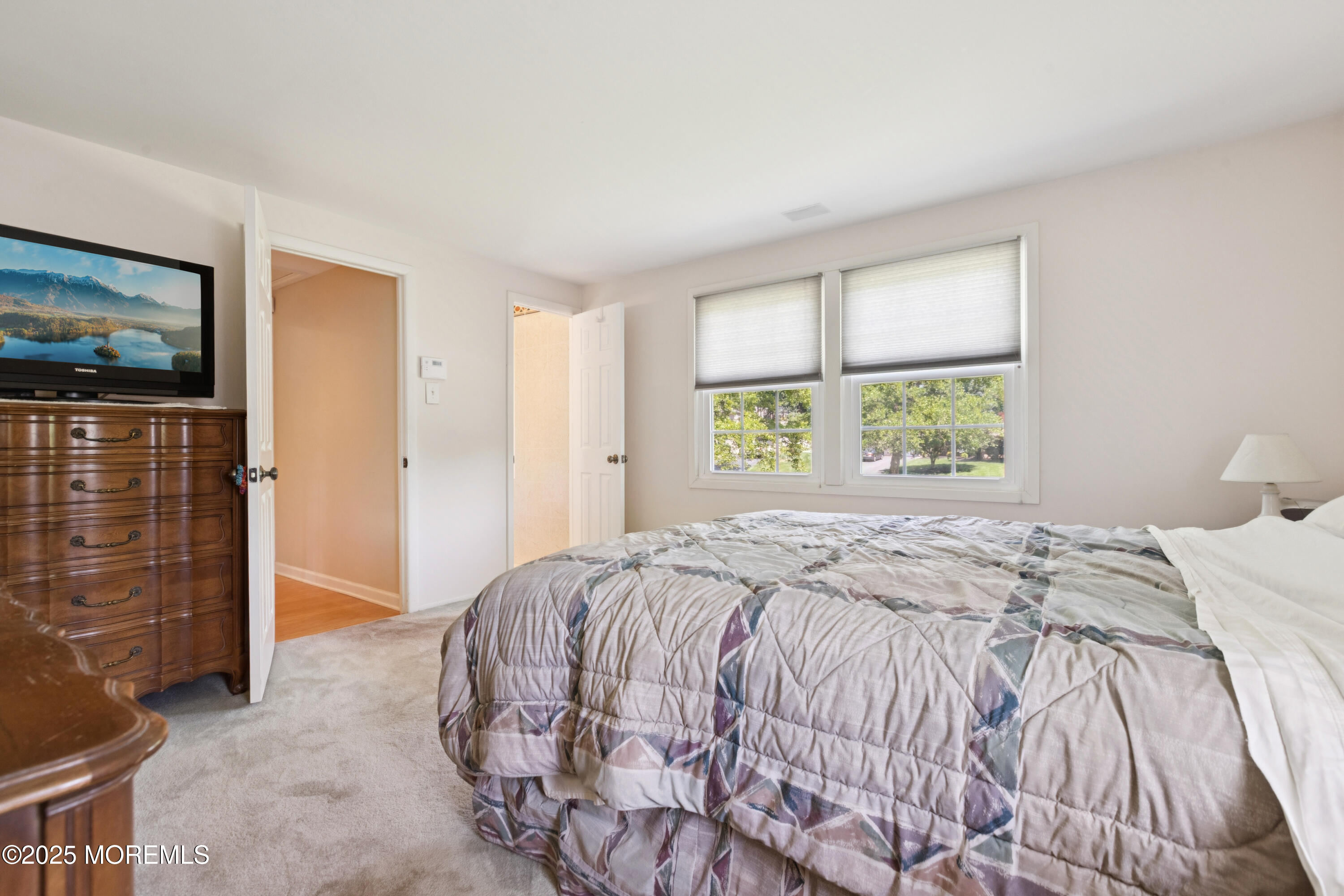 15 Clinton Drive, Manalapan, NJ, 07726 image 21