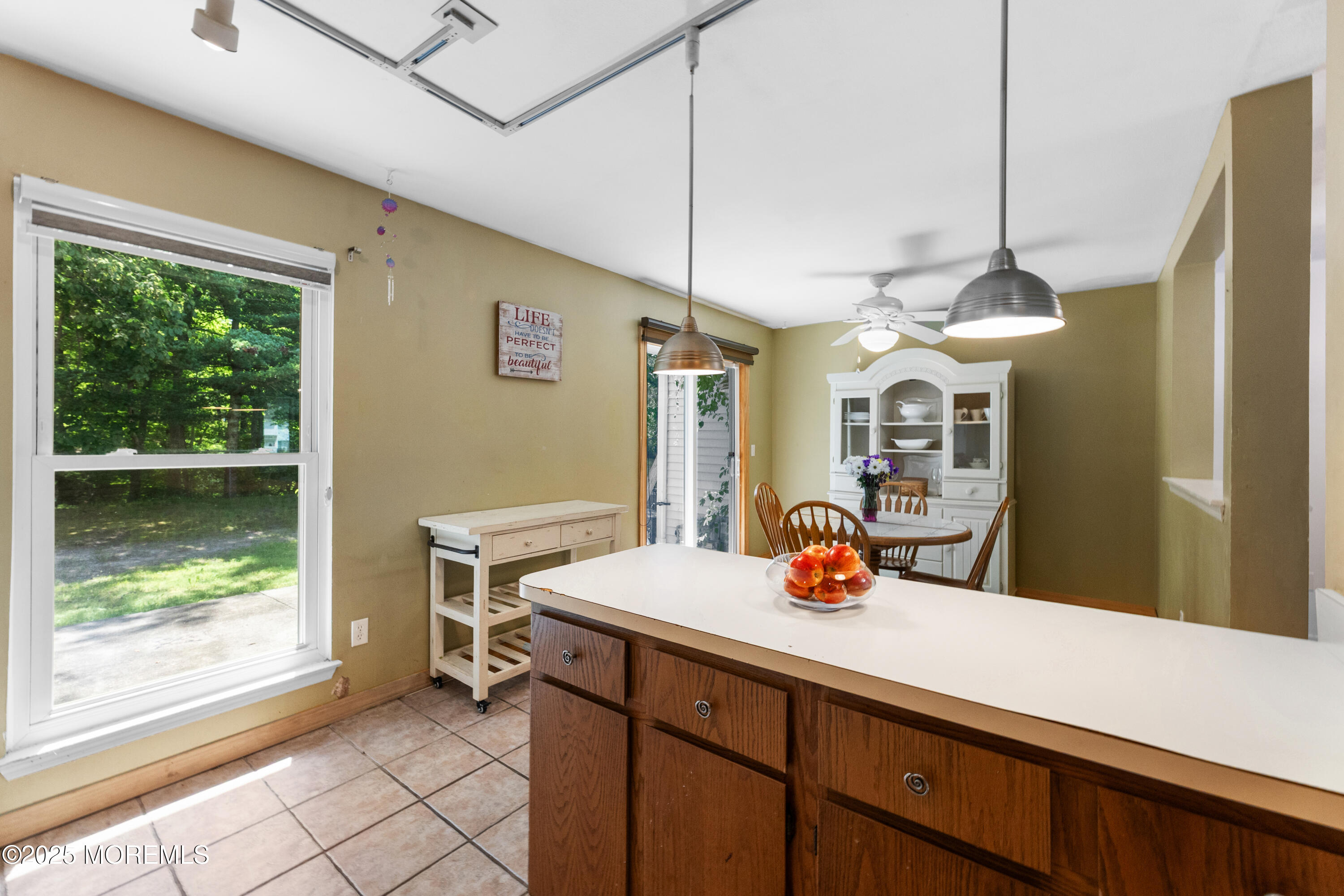 167 Meli Lane, Jackson, NJ, 08527 image 8