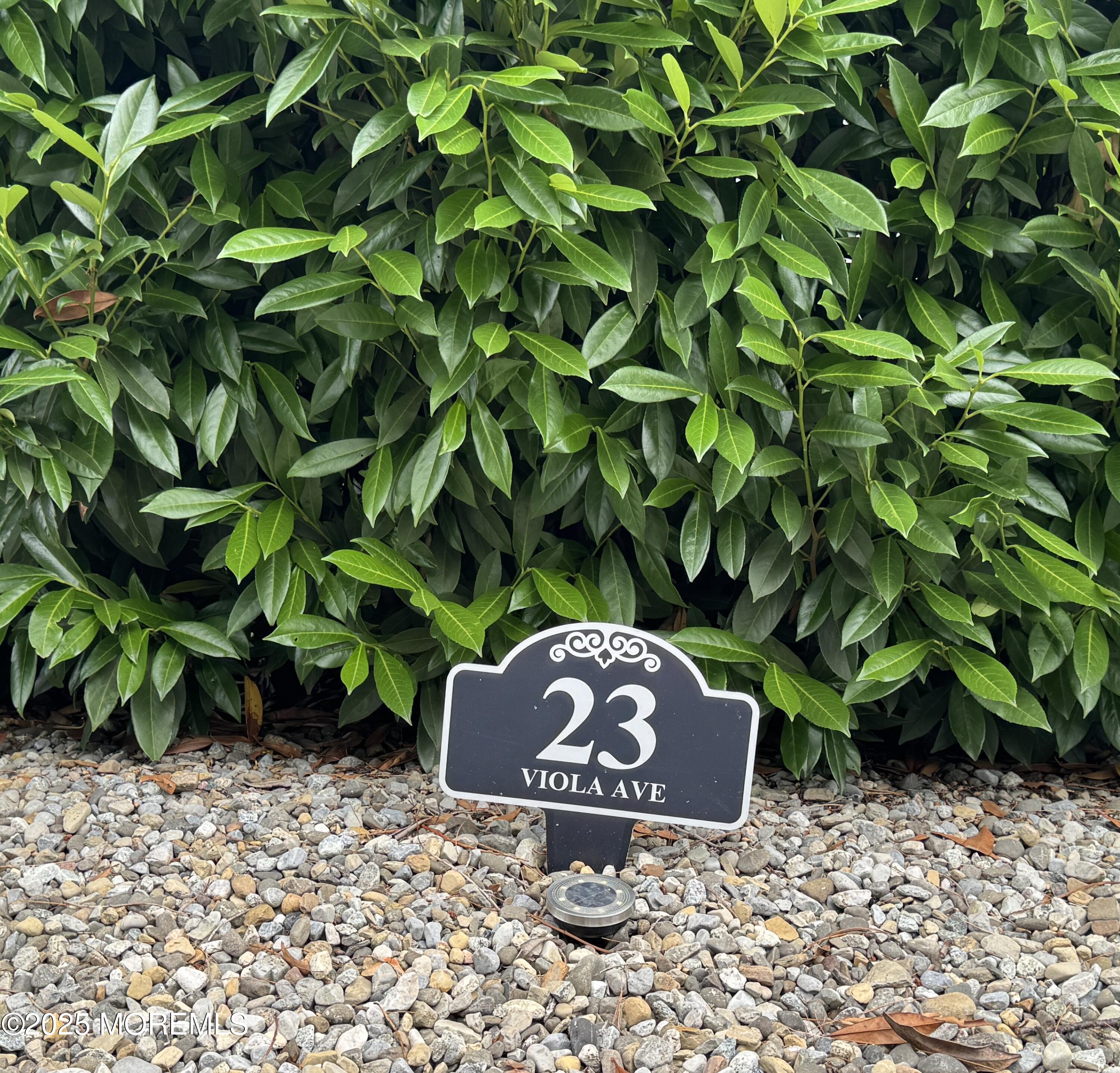 23 Viola Avenue Image 2