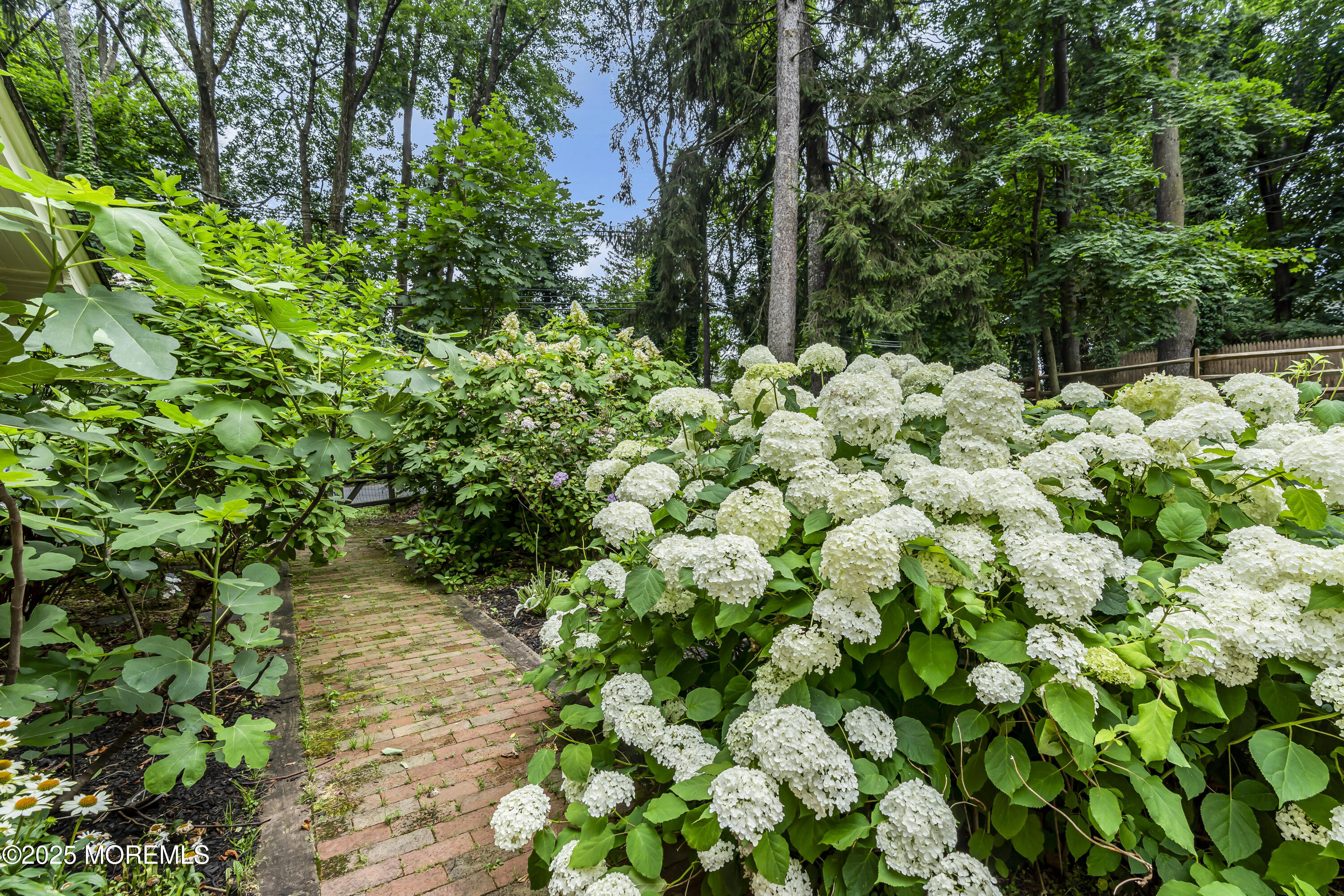 2041 Raritan Road, Scotch Plains, NJ, 07076 image 80