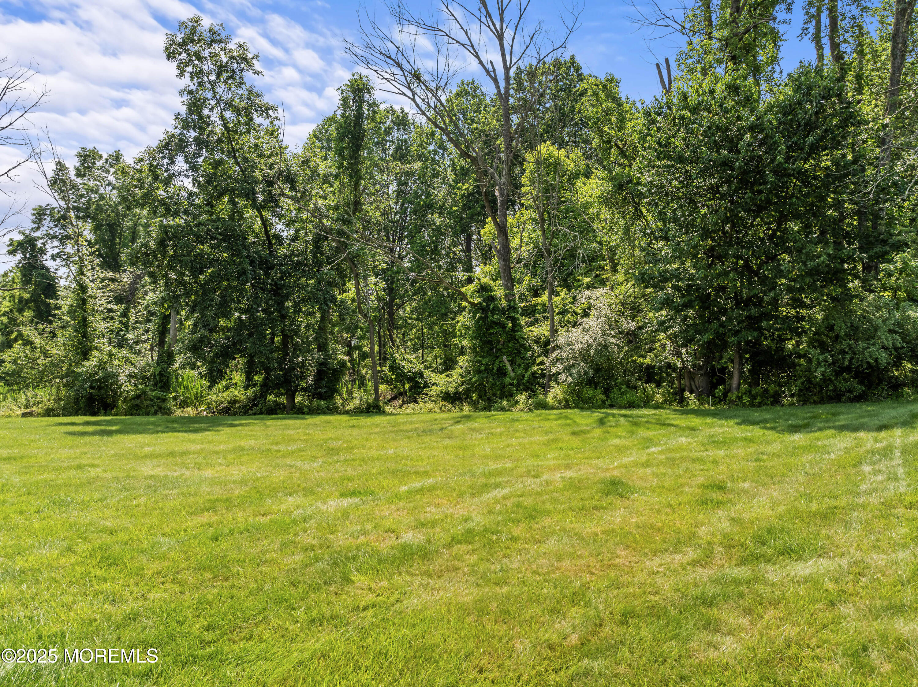 20 Birch Lane, Colts Neck, NJ, 07722 image 43