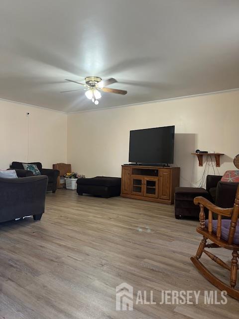 157 Meli Lane, Jackson, NJ, 08527 image 6
