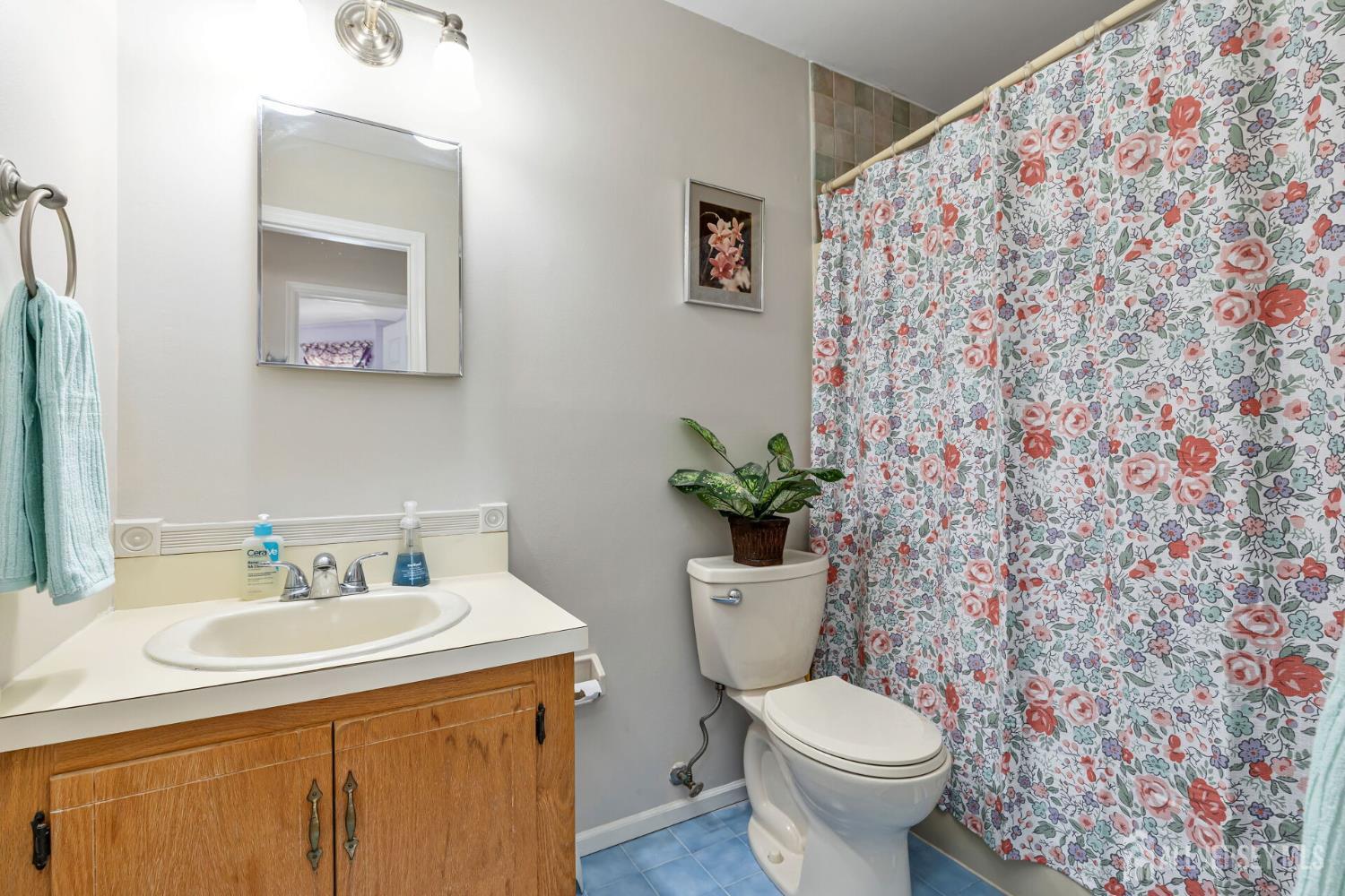 183 Driscoll Court, Franklin Twsp, NJ, 08873 image 23