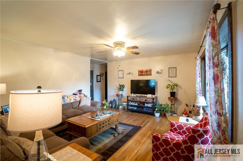 7 Cornell Road, Old Bridge, NJ, 08859 image 15