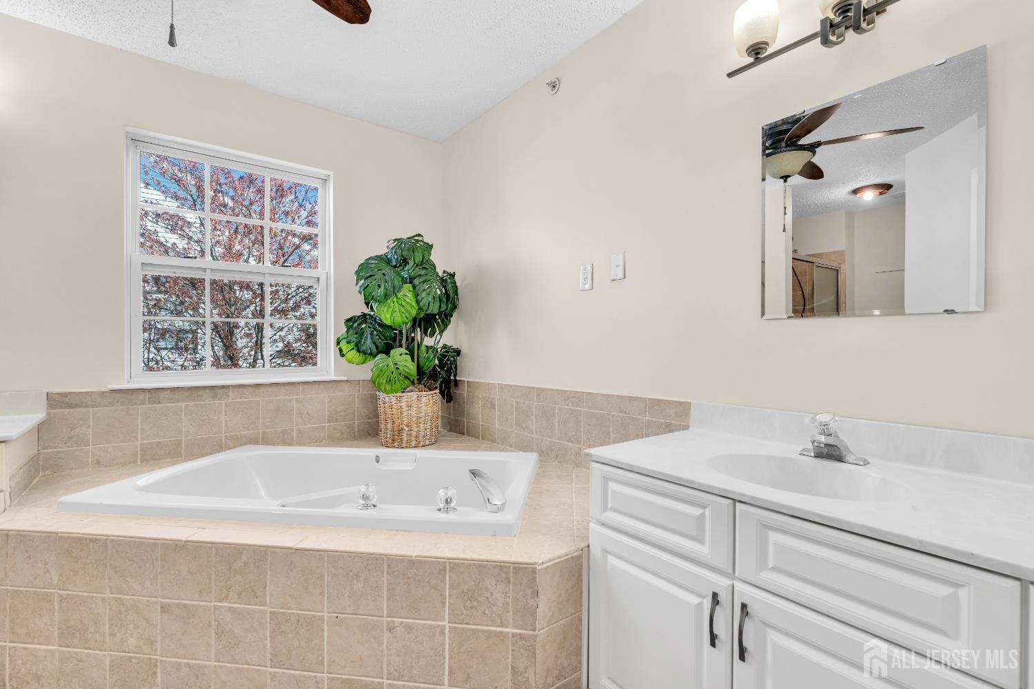 46 Prestwick Way, Edison, NJ, 08820 image 13