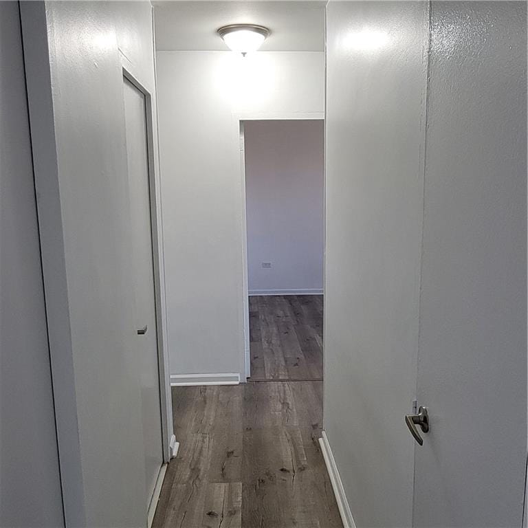 1065 Vermont Street 6D, Brooklyn, New York, 11207 image 6