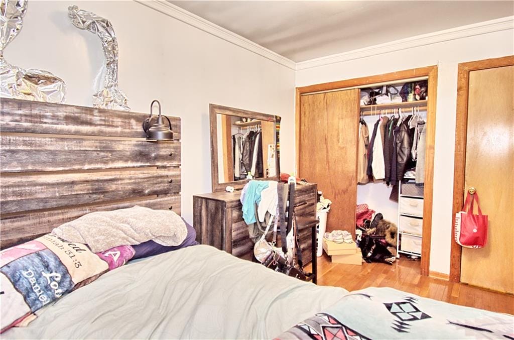 651 East 21st Street, Brooklyn, New York, 11226 image 13