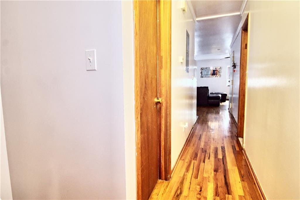 651 East 21st Street, Brooklyn, New York, 11226 image 33