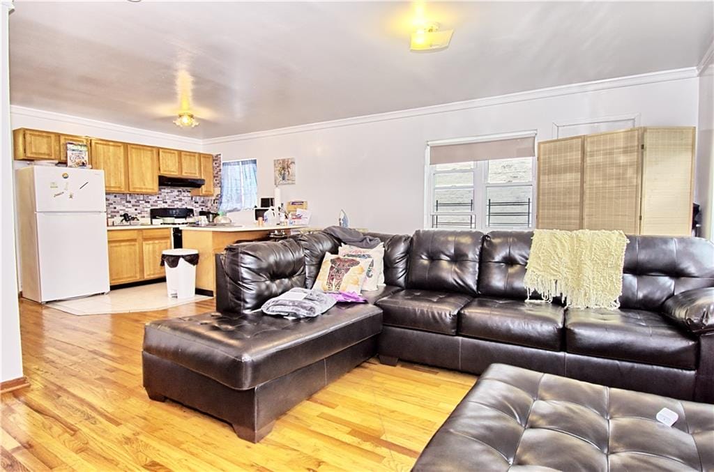 651 East 21st Street, Brooklyn, New York, 11226 image 6