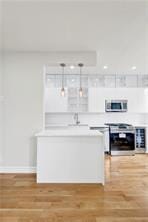 7101 Shore Road 1D, Brooklyn, New York, 11209 image 11