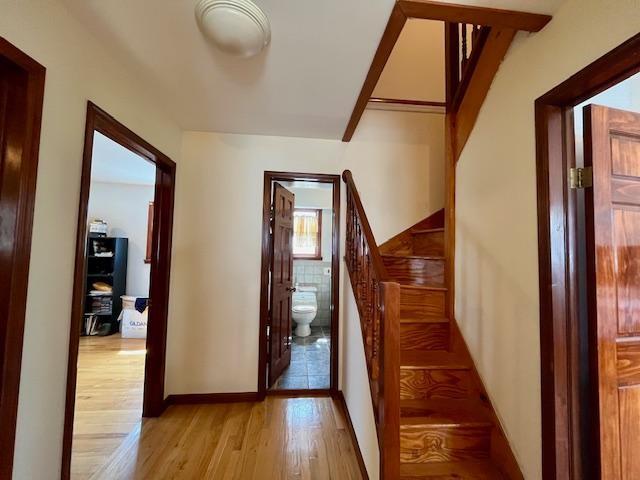6 Opal Court, Brooklyn, New York, 11229 image 20