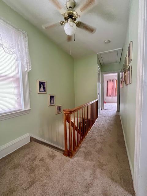 2971 Avenue T, Brooklyn, New York, 11229 image 14