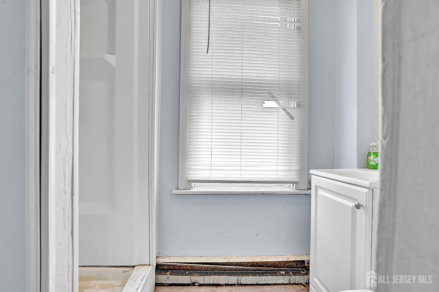 209 Joyce Kilmer Avenue, New Brunswick, NJ, 08901 image 10