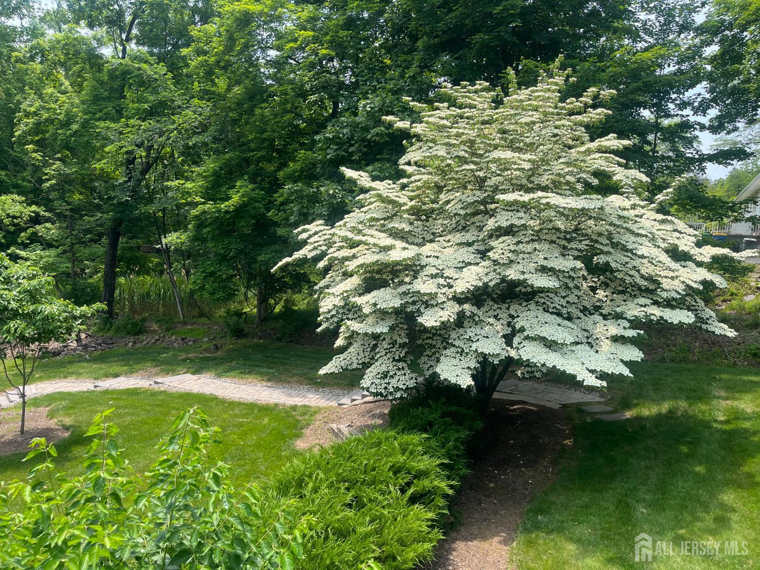 1240 Crim Road, Bridgewater, NJ, 08807 image 15