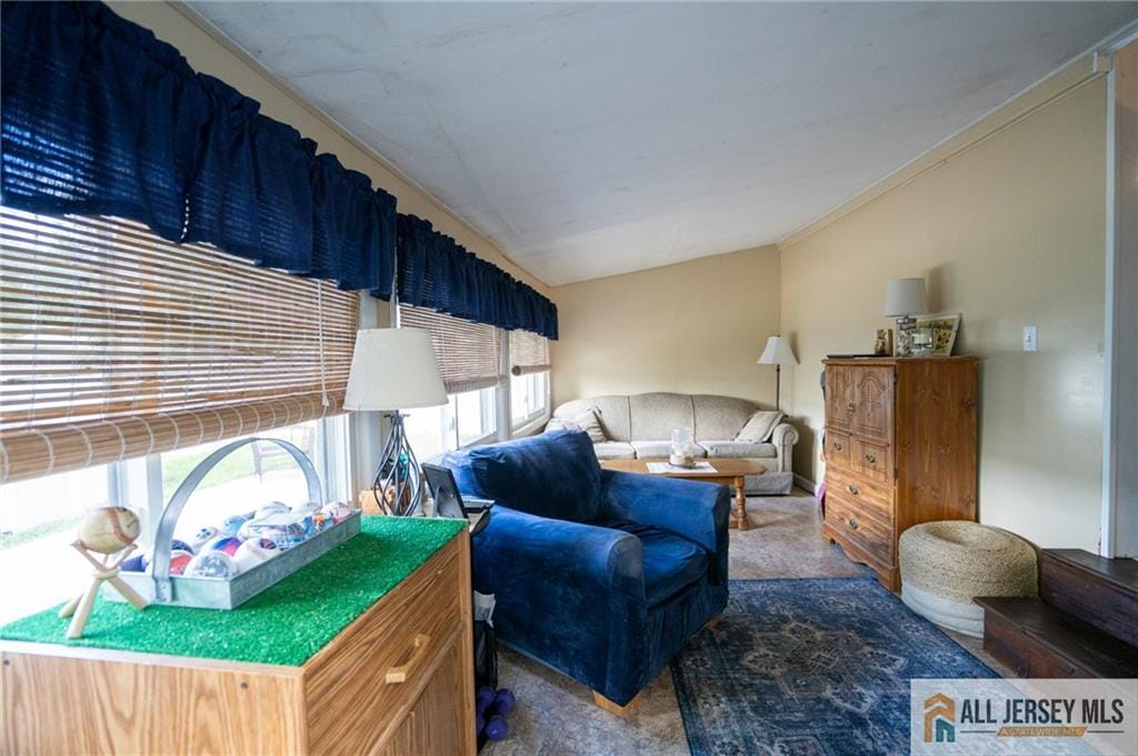 7 Cornell Road, Old Bridge, NJ, 08859 image 16