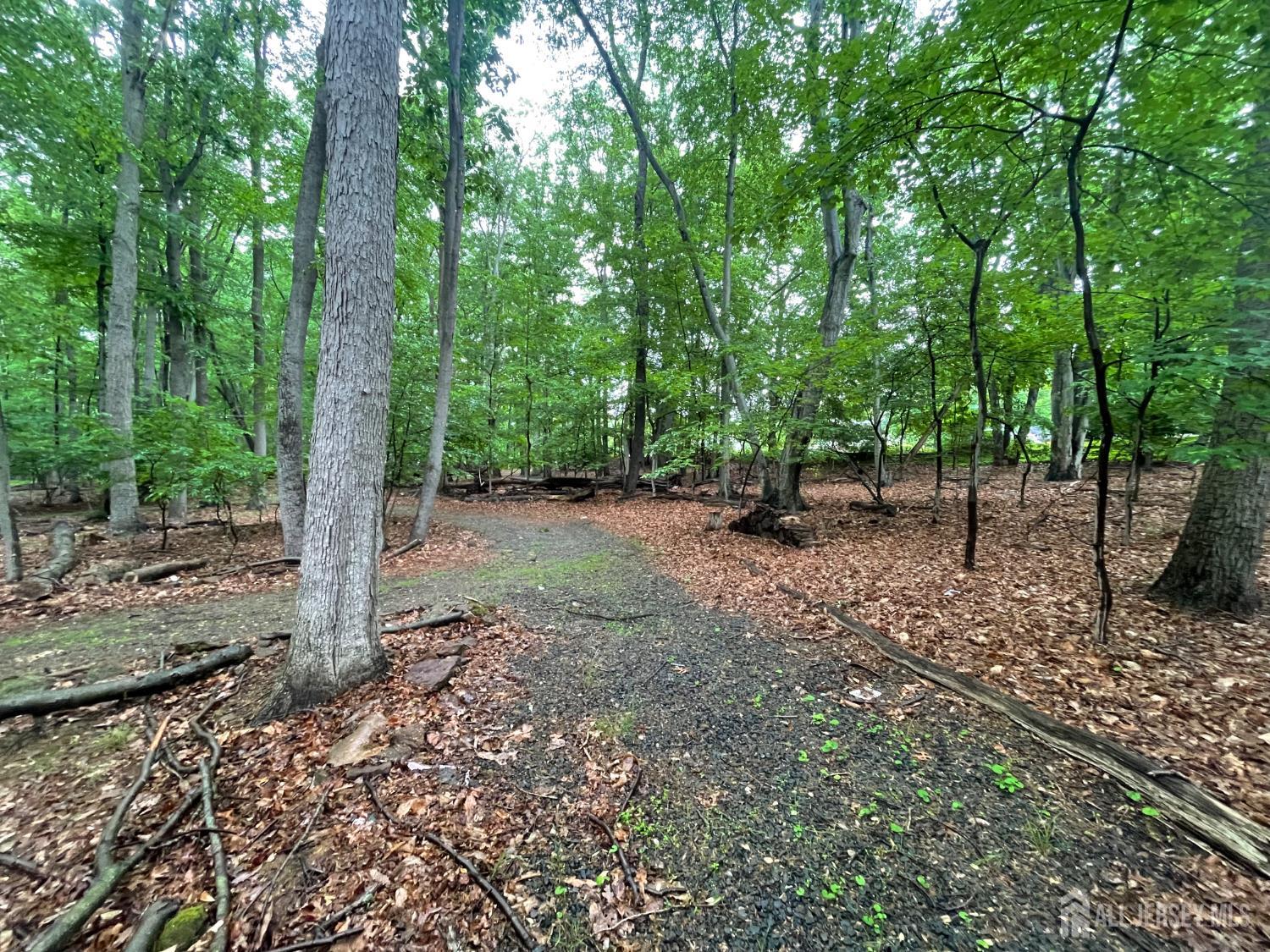 35 Woodward Road, Manalapan, NJ, 07726 image 30