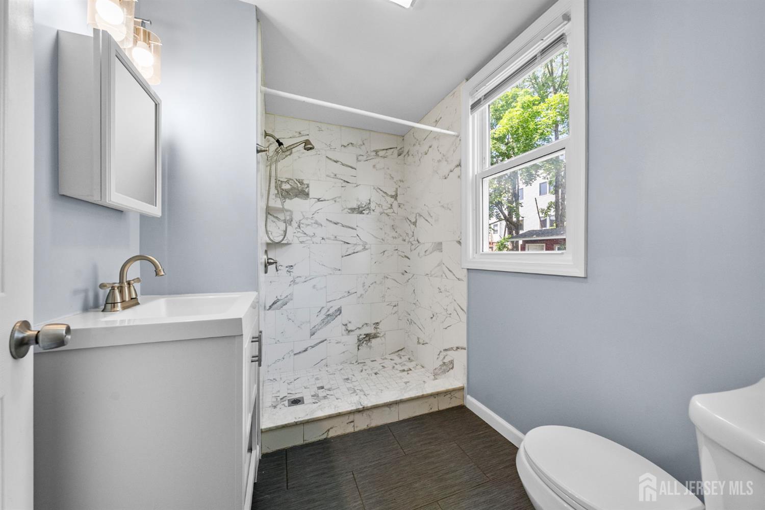 41 Guilden Street, New Brunswick, NJ, 08901 image 18