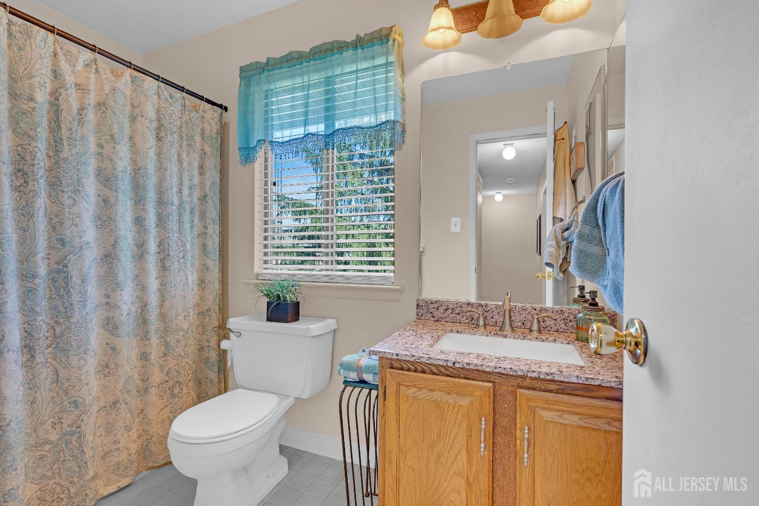 39 Hampshire Drive, Plainsboro, NJ, 08536 image 22