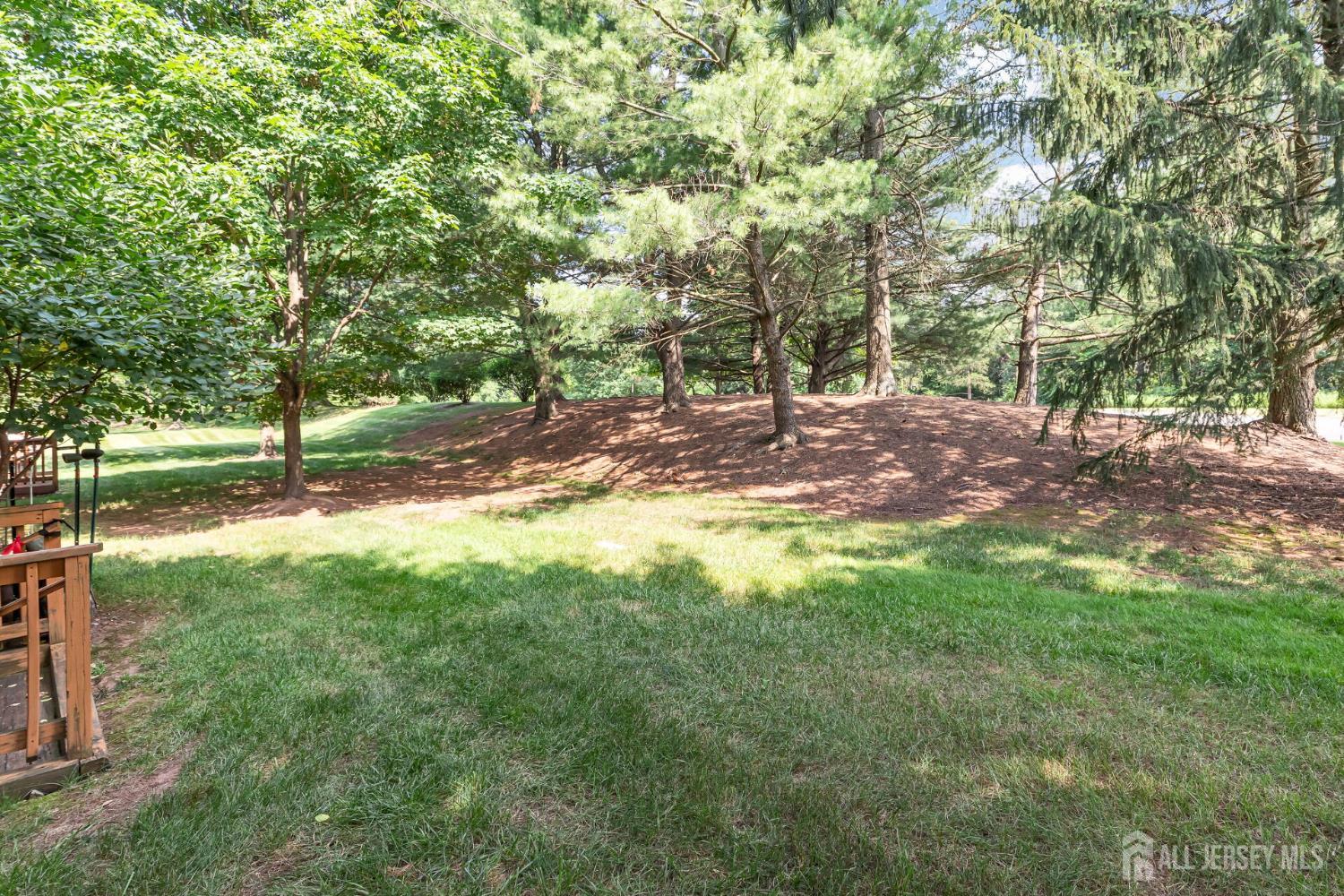 183 Driscoll Court, Franklin Twsp, NJ, 08873 image 38
