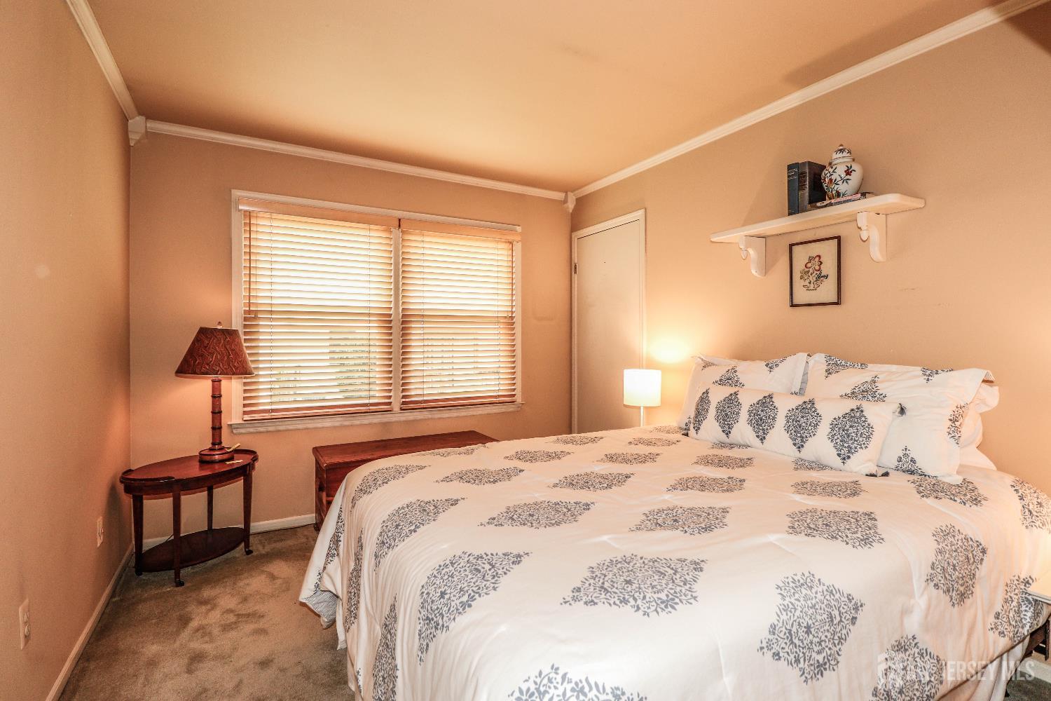 21 Teaberry Drive, Edison, NJ, 08820 image 22