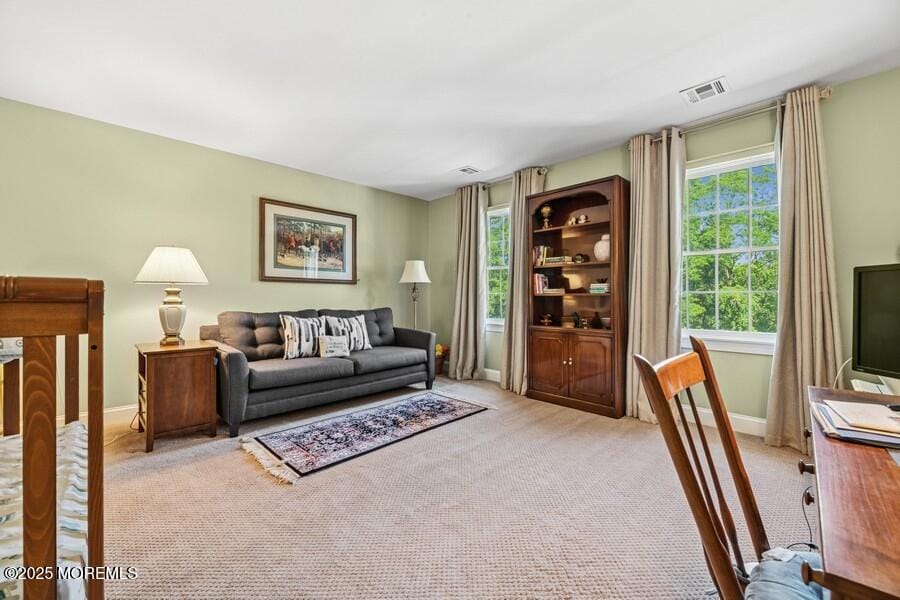 9 Wide Horizons Drive, Colts Neck, NJ, 07722 image 31