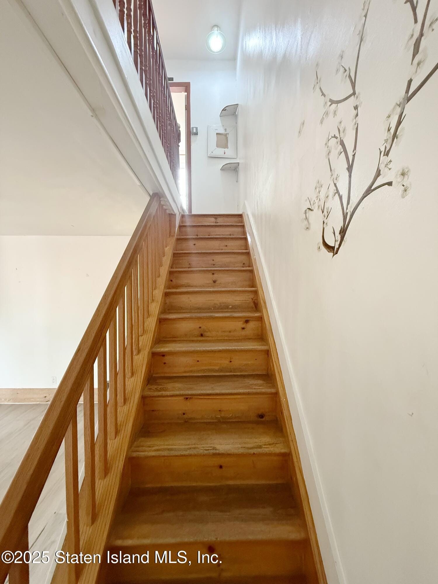 133 Quentin Road, Brooklyn, NY, 11223 image 7