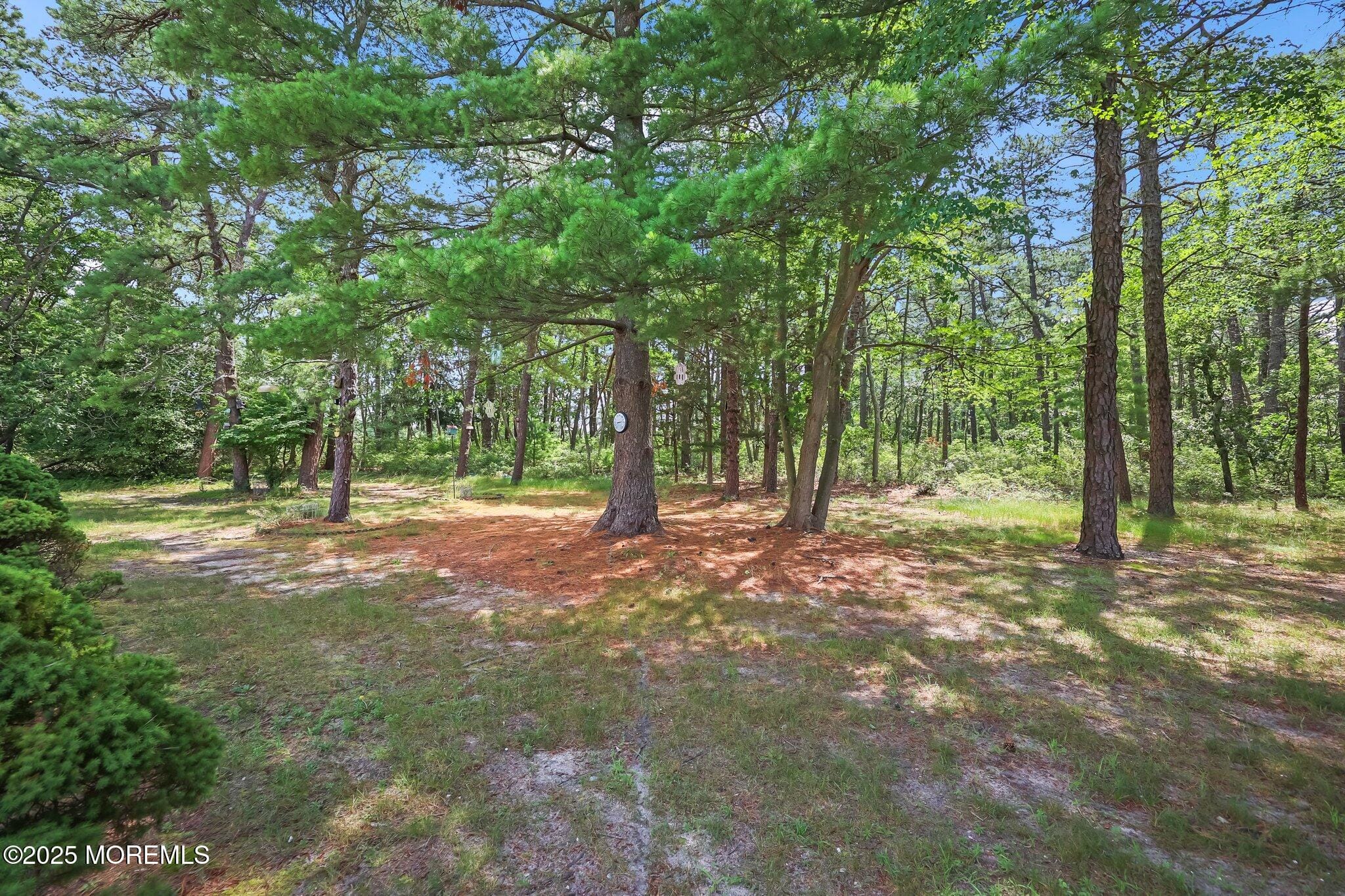 34 B Crestwood Court, Whiting, NJ, 08759 image 23