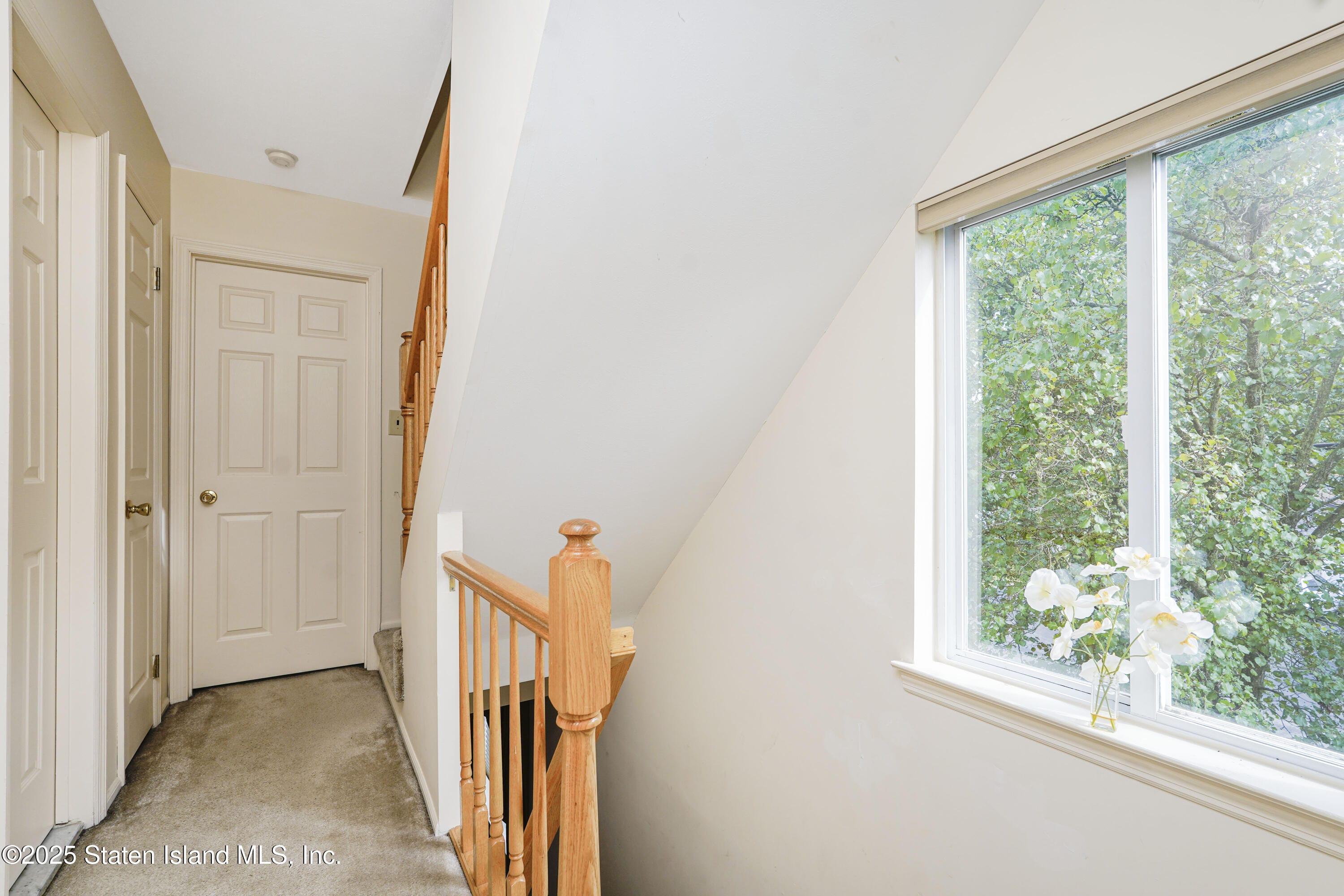 9 Sperry Place, Staten Island, NY, 10312 image 11