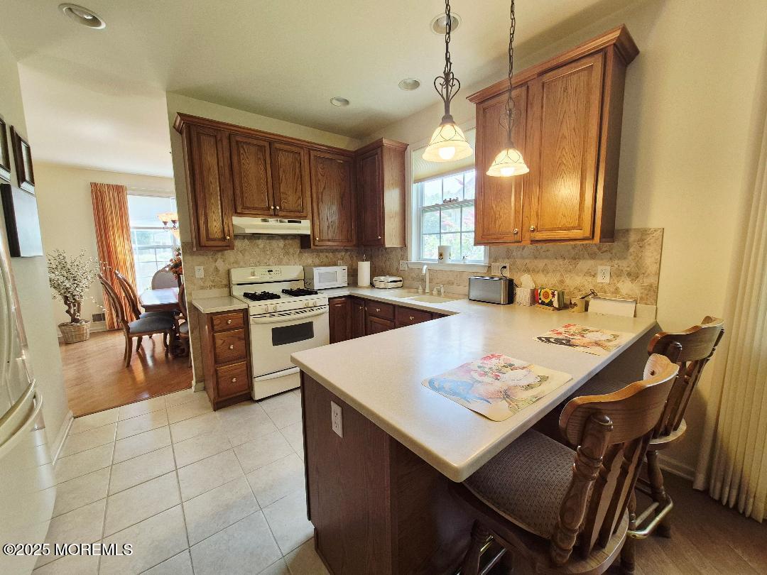 17 Marigold Lane, Little Egg Harbor, NJ, 08087 image 8