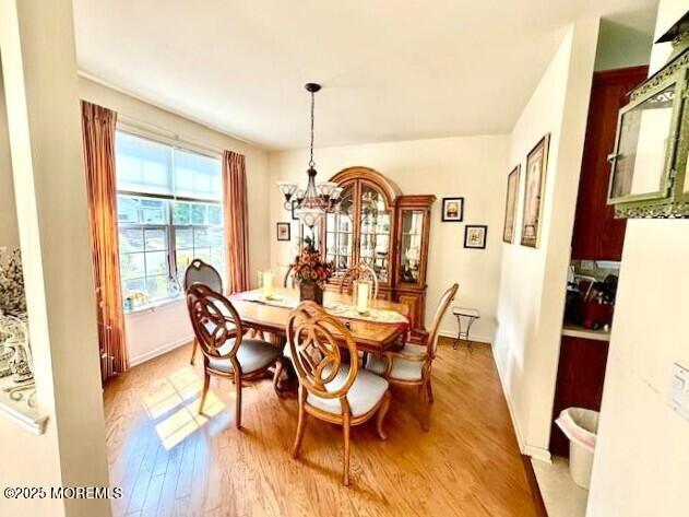 17 Marigold Lane, Little Egg Harbor, NJ, 08087 image 9