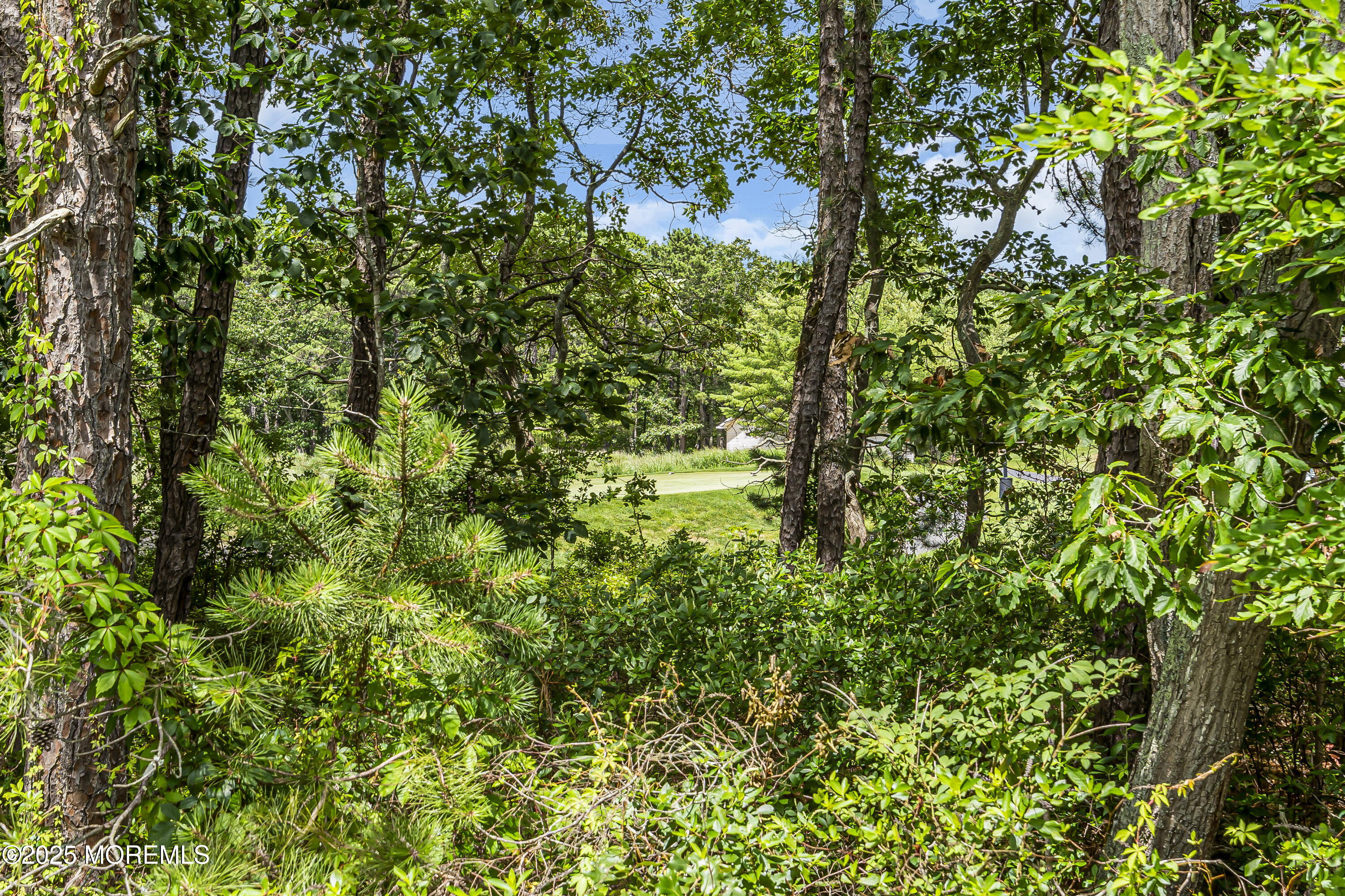 43 Bradley Beach Way Image 3