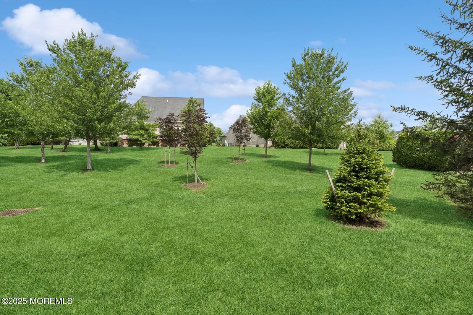 6 Day Star Road, Manalapan, NJ, 07726 image 53