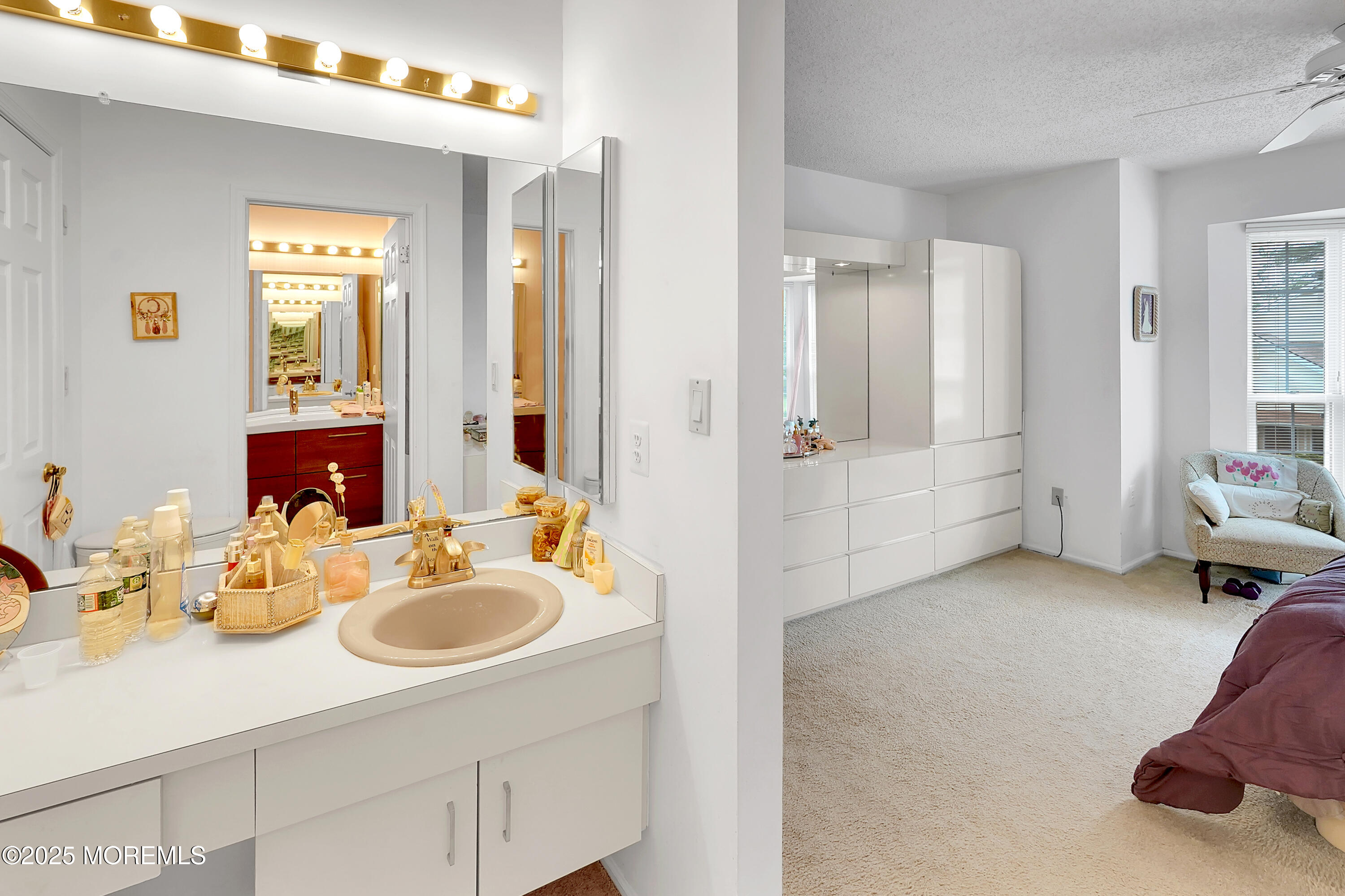 186 Snow Drop Place, Freehold, NJ, 07728 image 24
