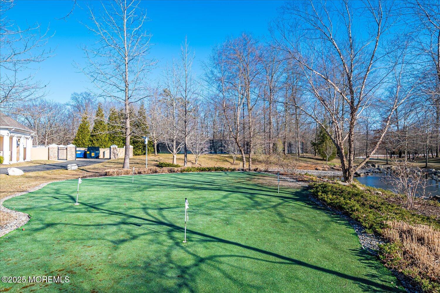 22 Silver Charm Road, Manalapan, NJ, 07726 image 40