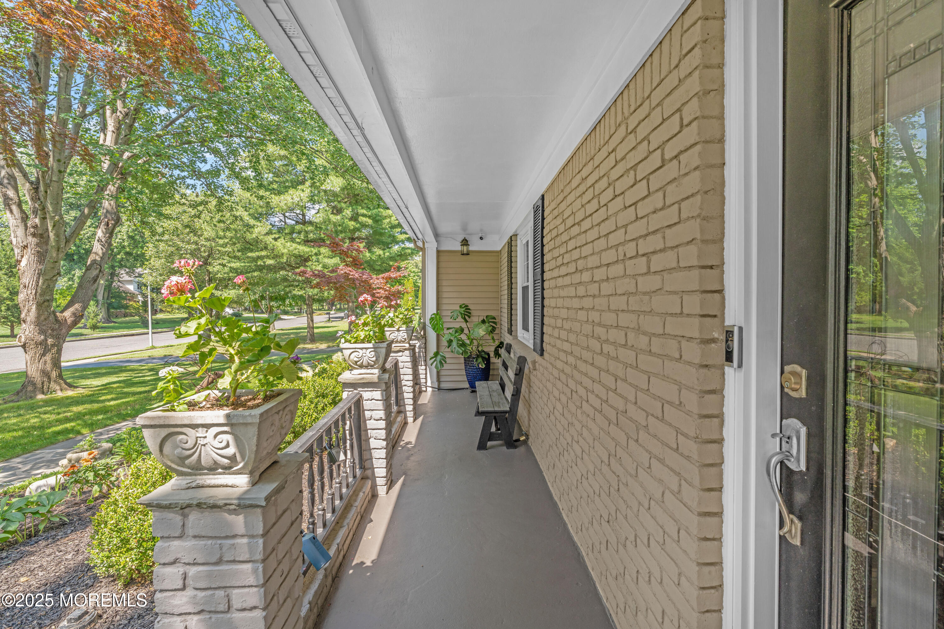 8 David Street Image 5