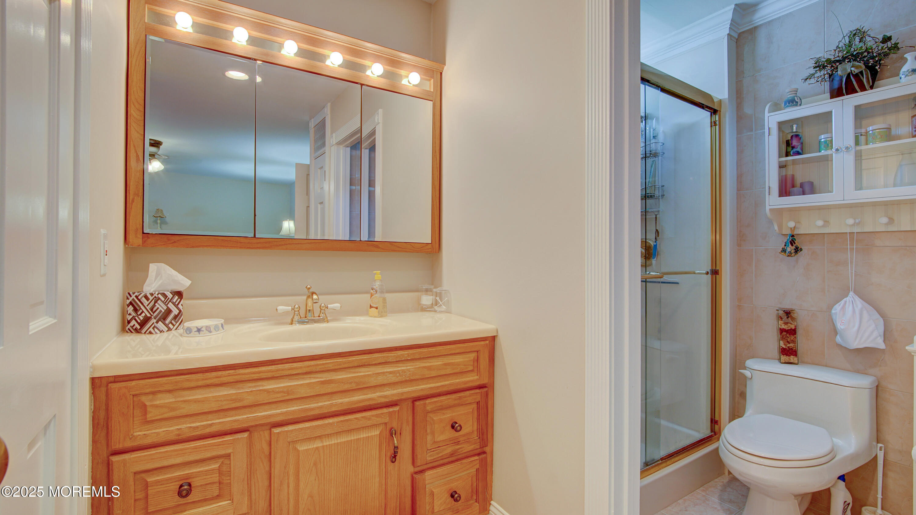 3 Feathertree Court, Howell, NJ, 07731 image 19