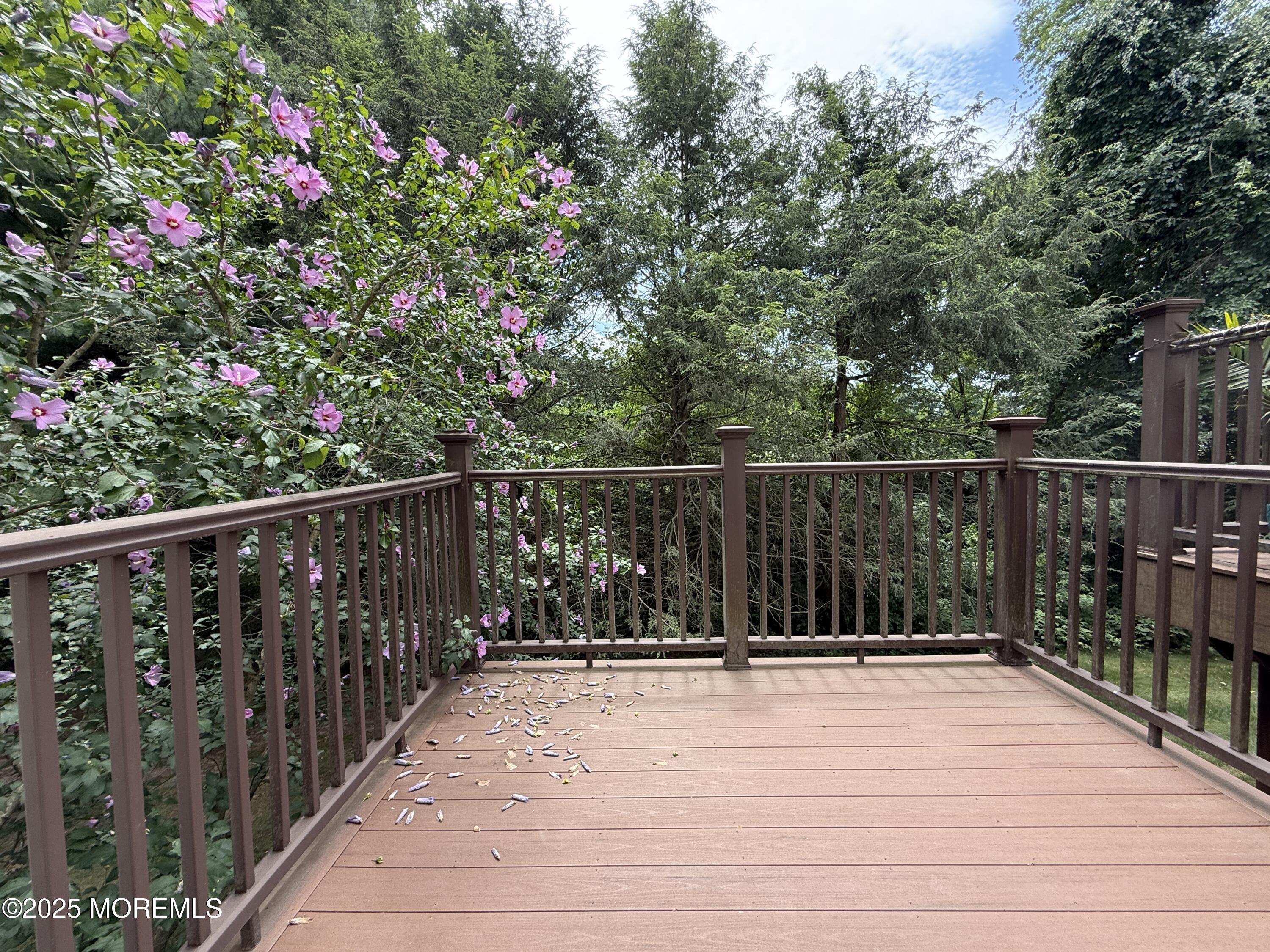 34 Heron Court, Manalapan, NJ, 07726 image 22