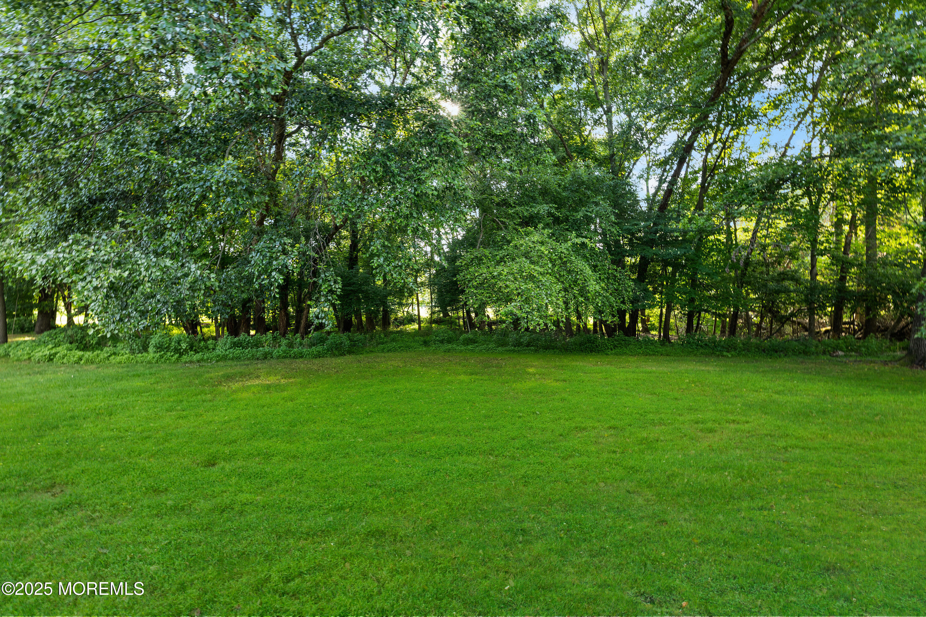 229 Medford Court B, Manalapan, NJ, 07726 image 27